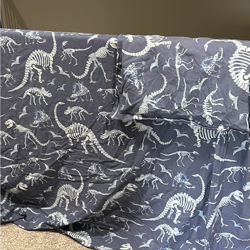 Pottery Barn Kids Dinosaur twin duvets and standard shams.